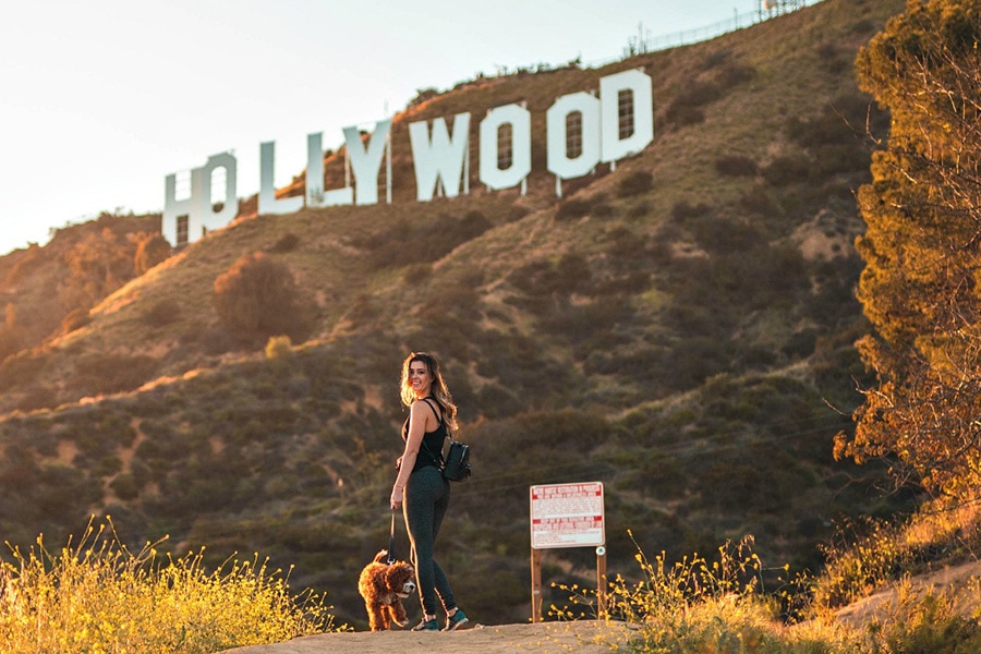 Your Guide to Owning A Dog in Los Angeles