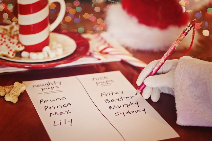10 Places to get Pet Photos with Santa in Los Angeles 2018