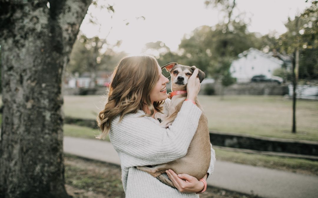 The Truth About CBD Oil for Pets