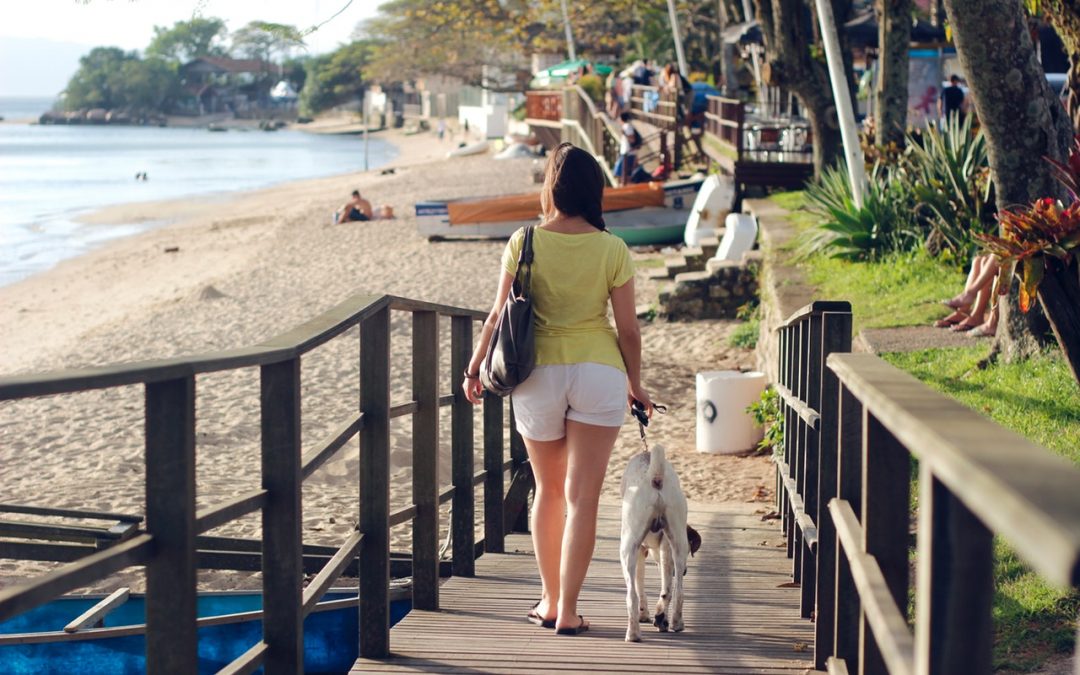 dog-friendly areas to live in los angeles