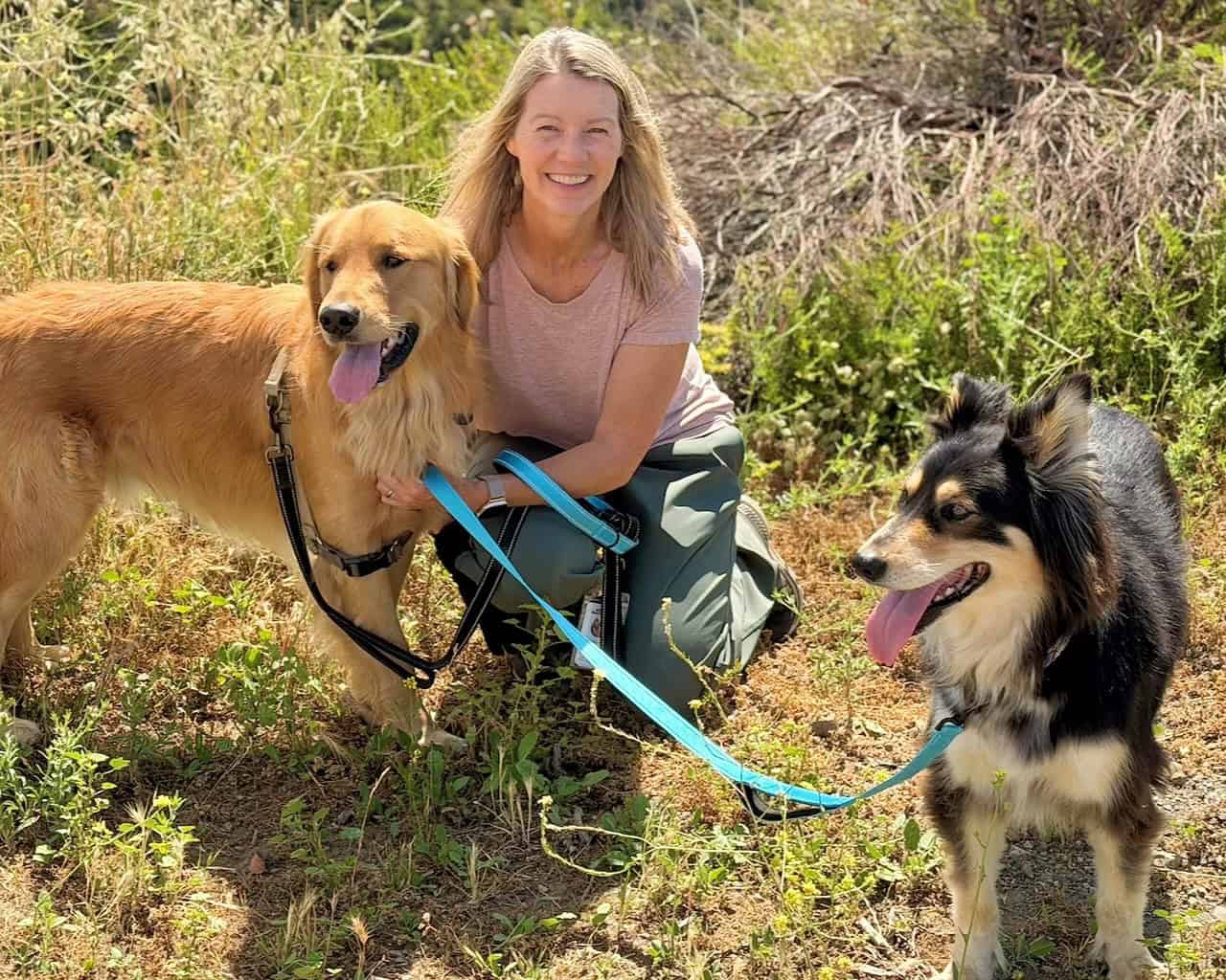 Luke Dog Walker Pet Sitter LA